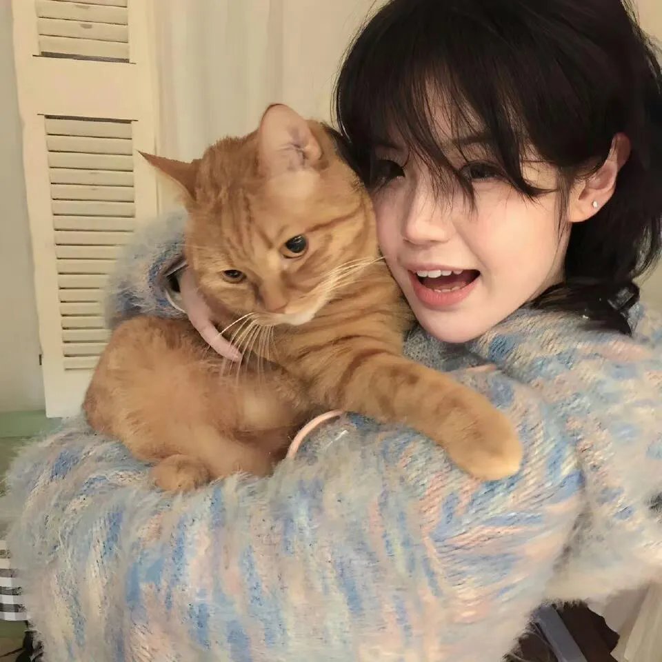 花生酱猎鹰
